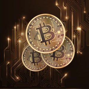 GANHAR USANDO NAVEGADOR BITCOIN 1=$6.000