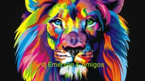 dj Emerson & Amigos