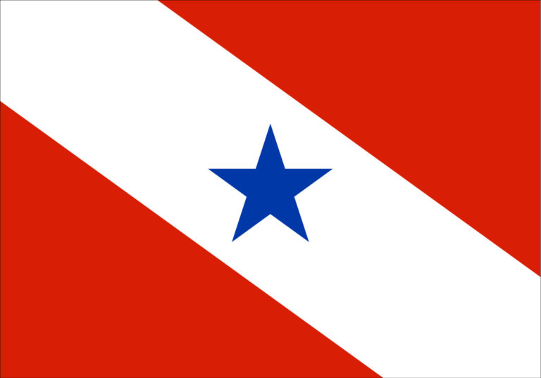 Paraenses no Sul