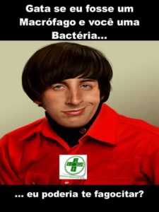 Biomedicina da Zueira