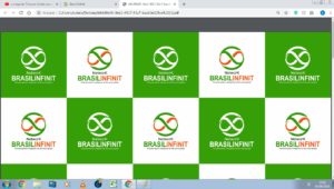 grupo oport brasilinfinit
