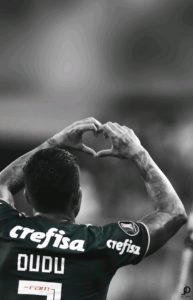 ??PALMEIRAS MINHA VIDA??
