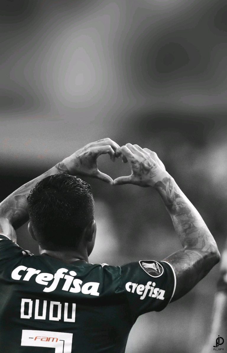 ??PALMEIRAS MINHA VIDA??