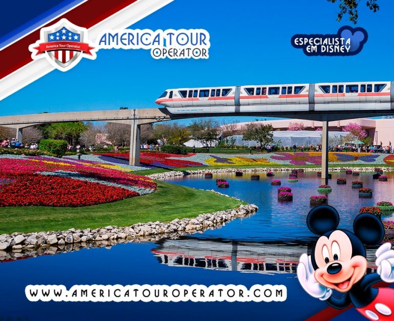 VIAGENS Á DISNEY AMERICA TOUR OPERATOR