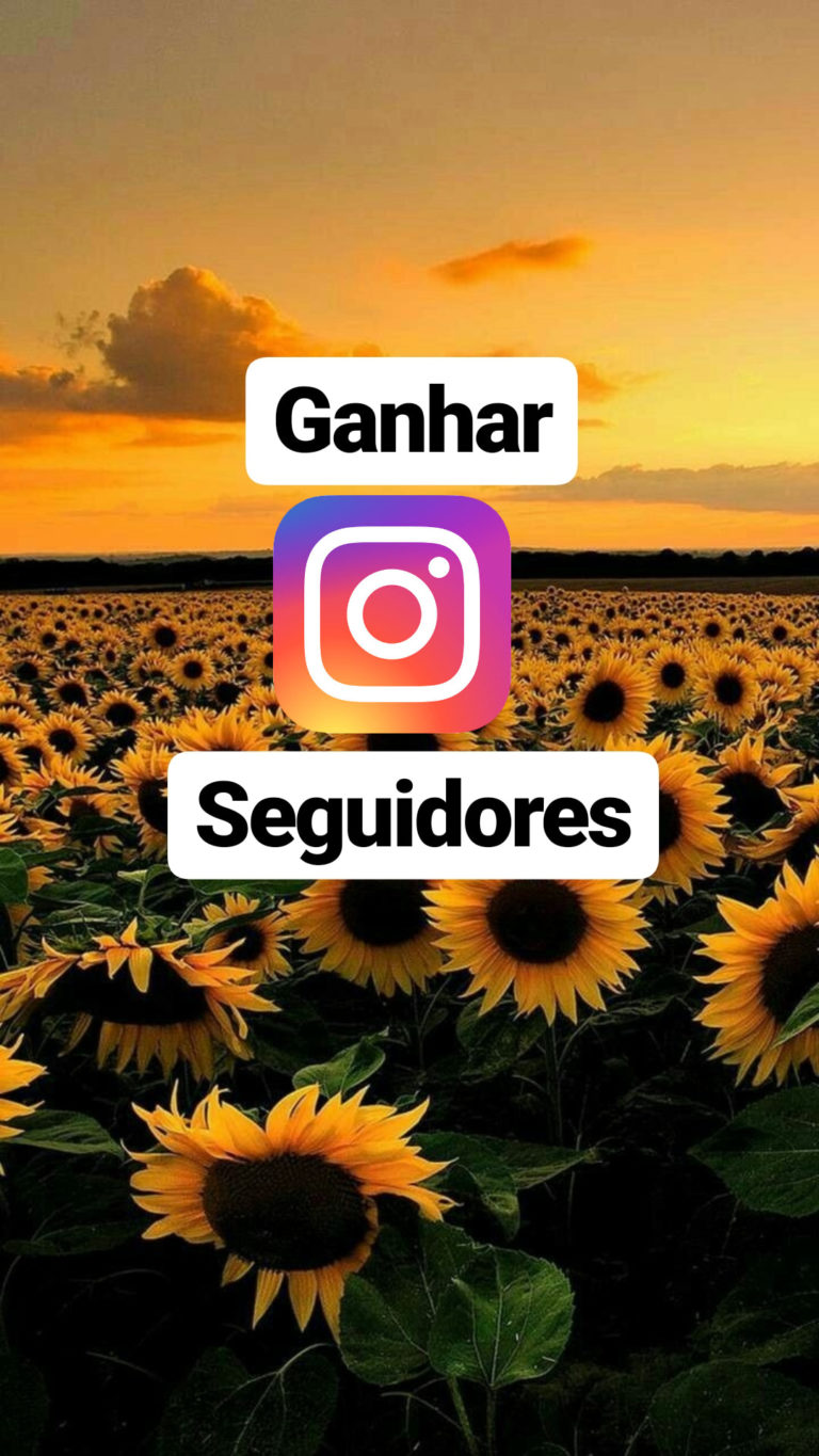 Seguidores BR??