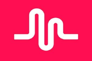 Grupo de musical.ly