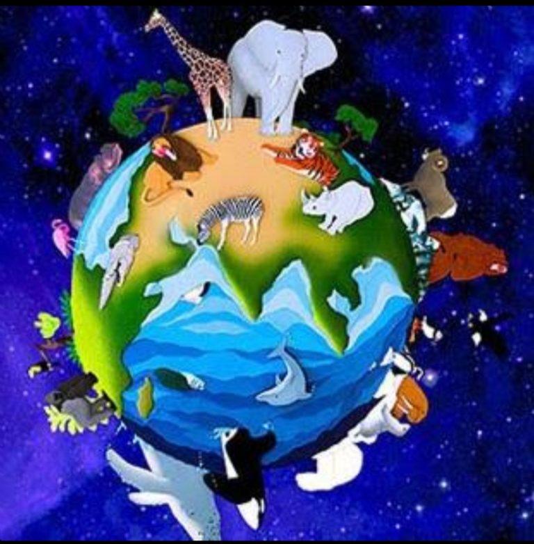 Amizade pelo mundo