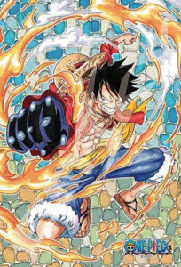 Grupo de acesso ( One Piece )