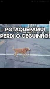 Gang da zueira
