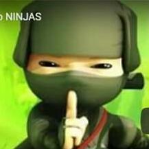 ORGÂNICO NINJA