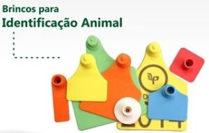 Identificação Animal