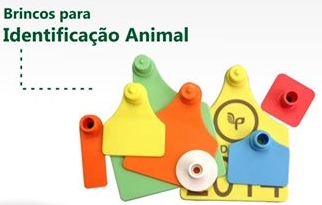 Identificação Animal