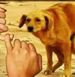MELHORES VIDEOS DO ZAP