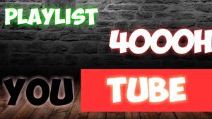 PlayList Sub & Views 4000h