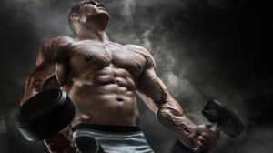 Musculação & Bodybuilder