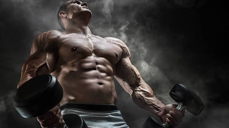 Musculação & Bodybuilder
