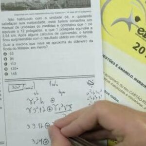 MED ENEM 2019