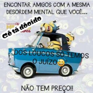 Novos Amigos