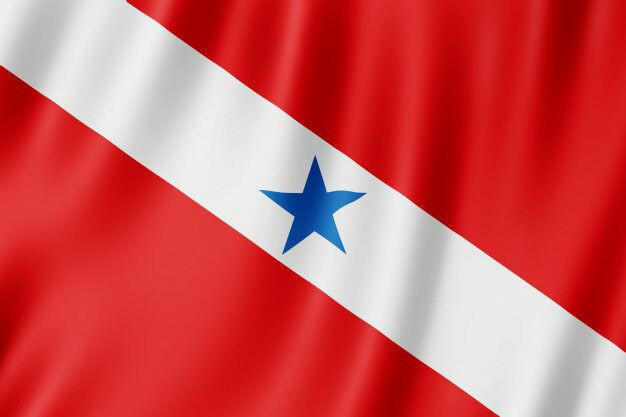 NOTÍCIAS PARÁ