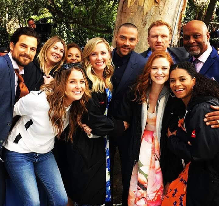 Quiz grey\\\’s anatomy