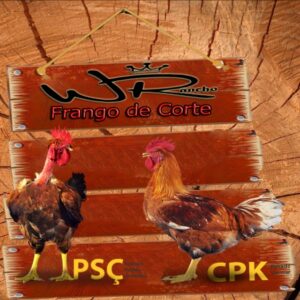 Rancho Wr Frango de Corte