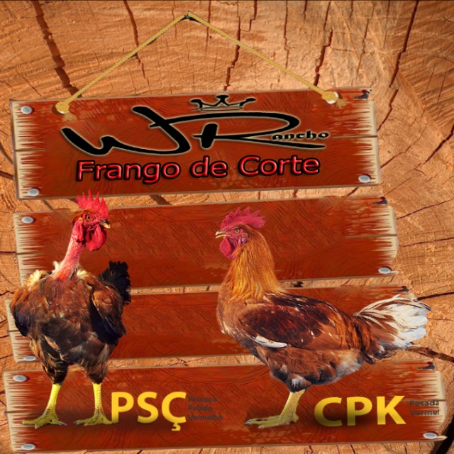 Rancho Wr Frango de Corte