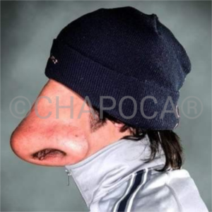 Chapoca S.A.M