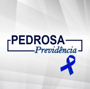 Grupo de Segurança Privada