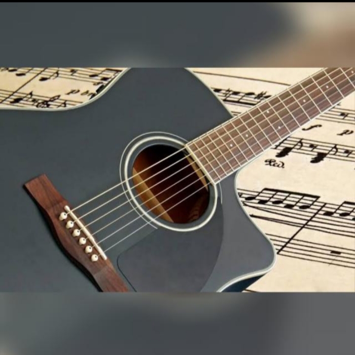 Amantes do violão