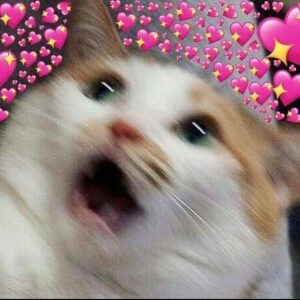 ◝◜᳝ํֻ⃟᭄❁⃯֨ só ғɪɢᴜʀɪɴʜᴀs