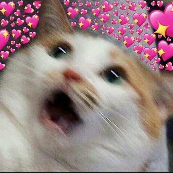 ◝◜᳝ํֻ⃟᭄❁⃯֨ só ғɪɢᴜʀɪɴʜᴀs