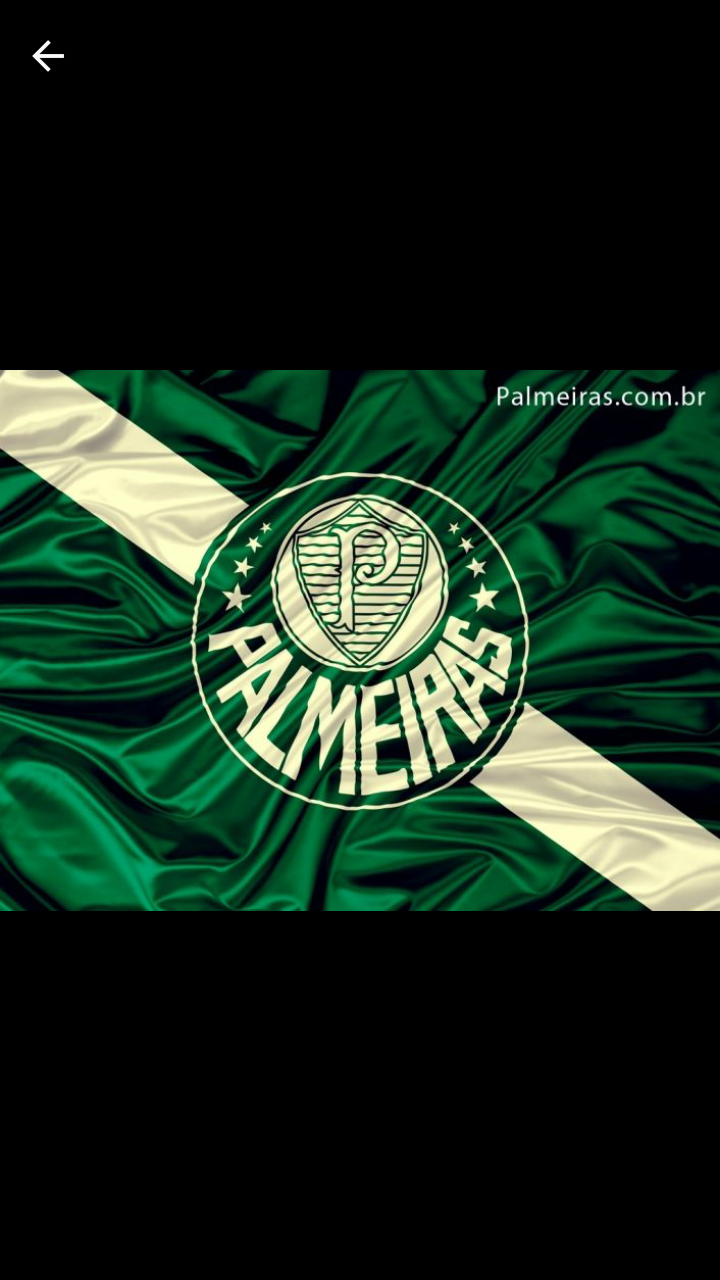 ?Nação Palmeirense??