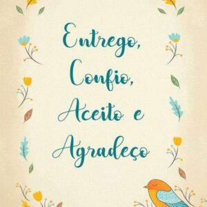 SEGUIDORES NO INSTAGRAM