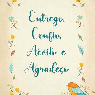 SEGUIDORES NO INSTAGRAM