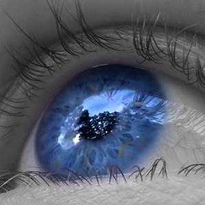 Onde Brilhem os Olhos