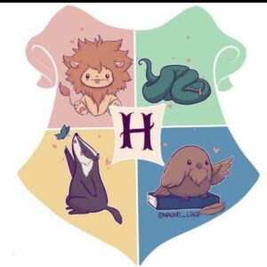Harry Potter- Chapéu Seletor