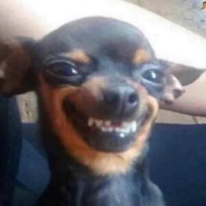Melhores Amigos❤️