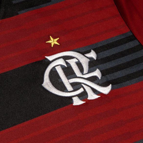 FLAMENGO 1895