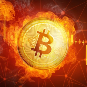CRYPTOMOEDAS & DIVULGAÇÃO