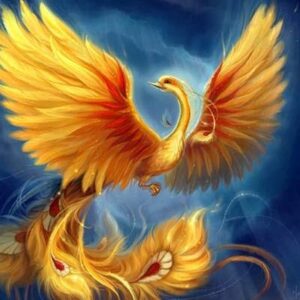 Fênix: amizades e paixões