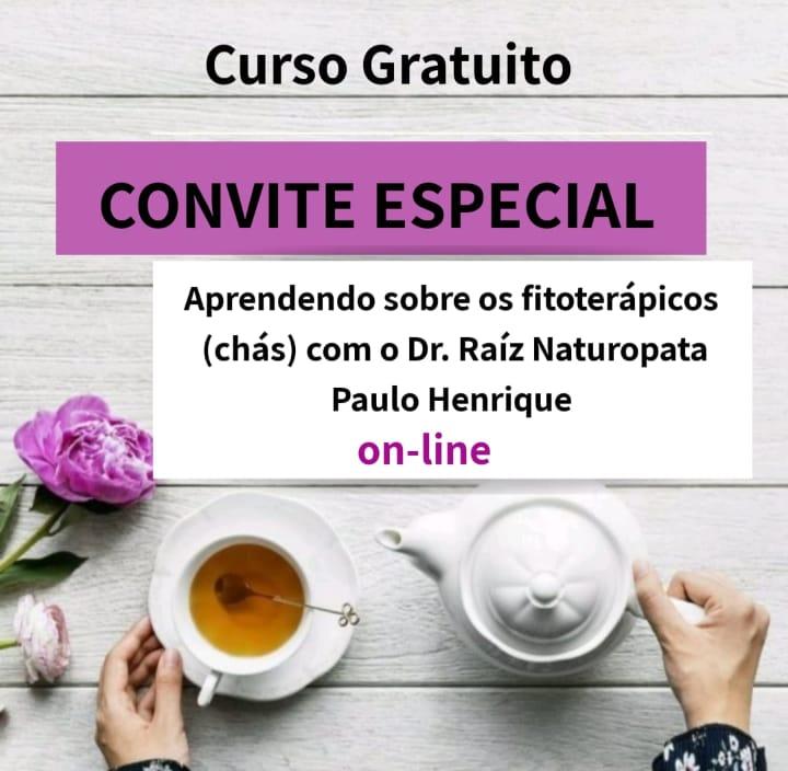 Dieta fitoterapicos