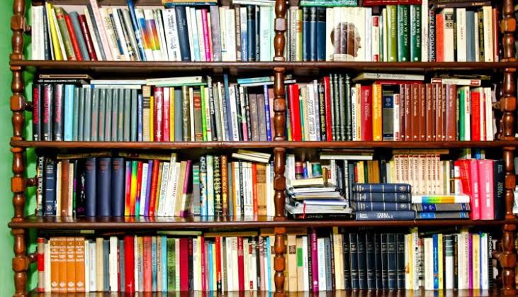 Livros em PDF📚