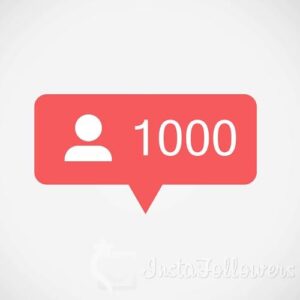 Insta Followers