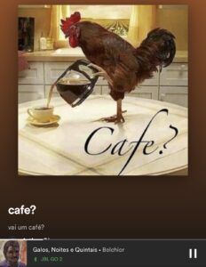 rinha de galo 🐔