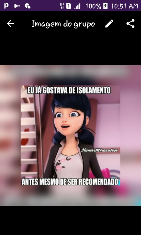 Novas amizades
