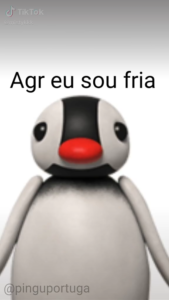 Bonde dos pescotapas