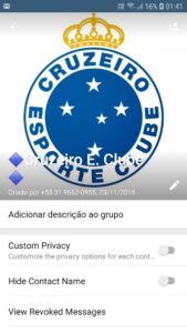 Cruzeiro E. Clube