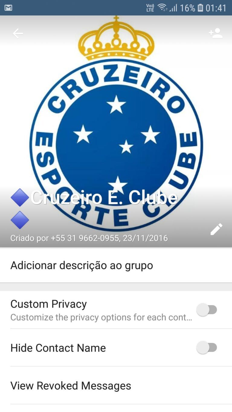 Cruzeiro E. Clube