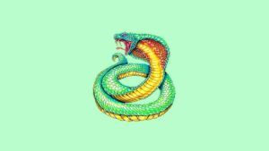 🔥🐍Divulga TRAP/RAP🐍🔥