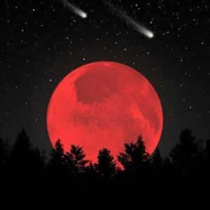 🌕°𝕭𝖑𝖔𝖔𝖉 𝕸𝖔𝖔𝖓°🌕
